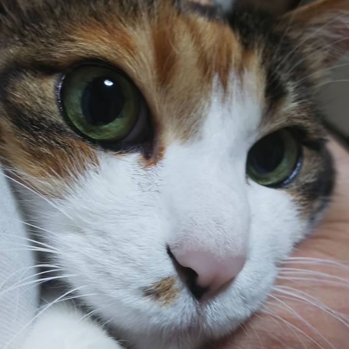 F43a752d b628 4c72 8031 ad8d5d72f19d 1592714500364