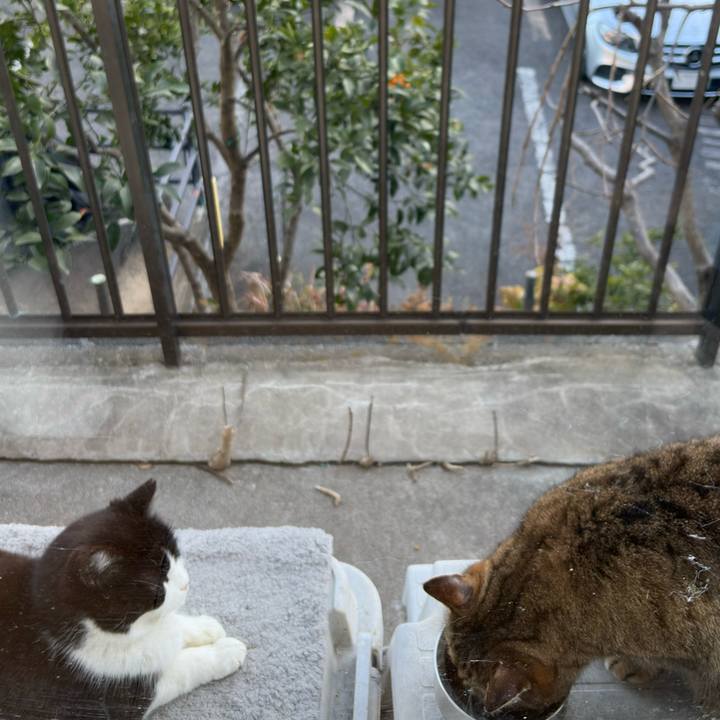 F43ab252 a82c 48fa 9109 fd32121df6a5 1772612183926