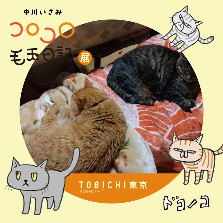 F43adeb2 7a59 4dca b731 2f9d730c76d6 1740217567251