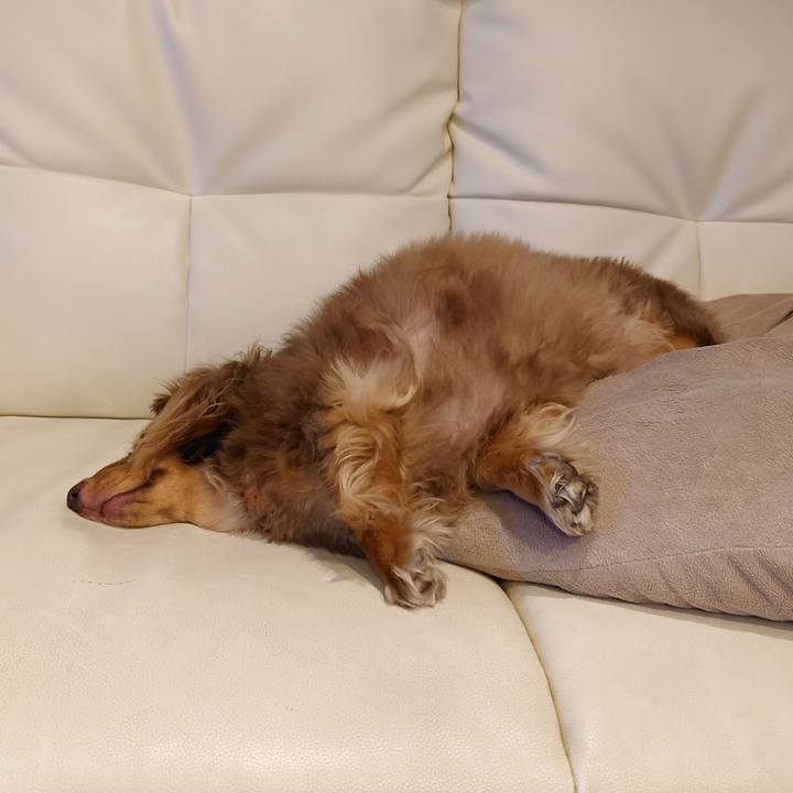 F43af777 7b02 4cda 9c3c 96e84239b7ef 1667051608536