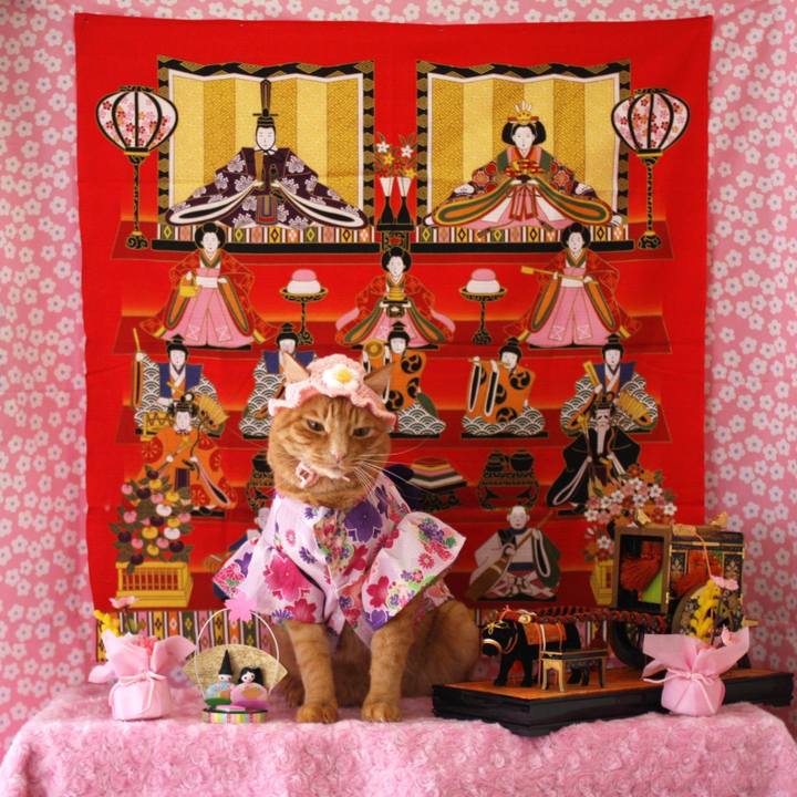 F43affce 468f 4ac9 a535 0767e1f630ed 1772266620574