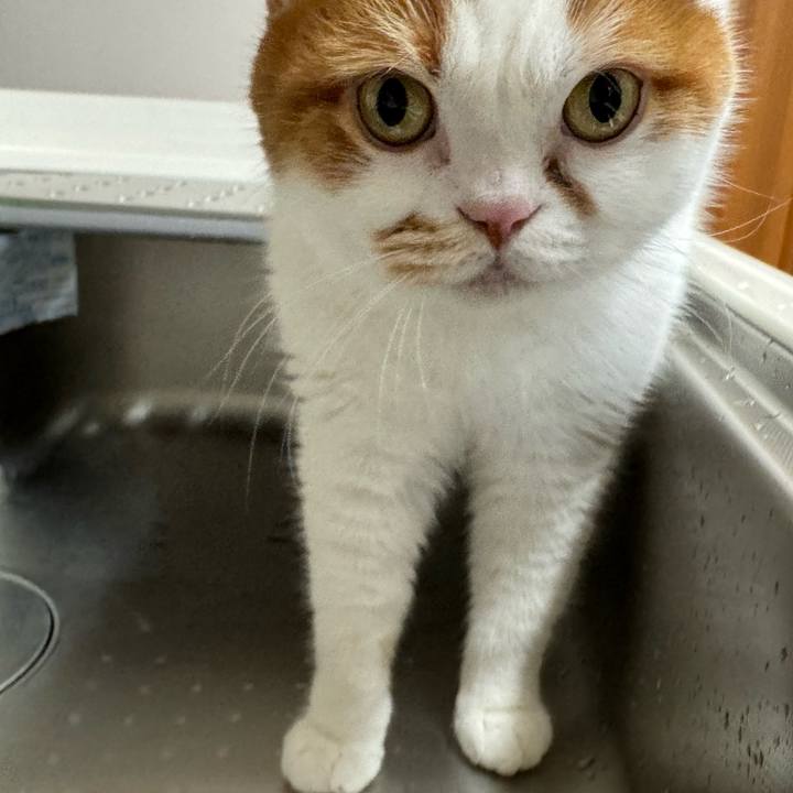 F43b6ea5 ca82 475c bbd0 f28d27c2eeb6 1774069549354