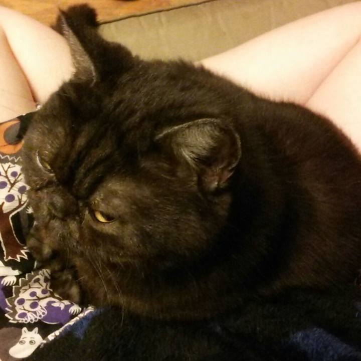 F43b7a07 c511 4951 a883 562bcbe74a91 1574513537324