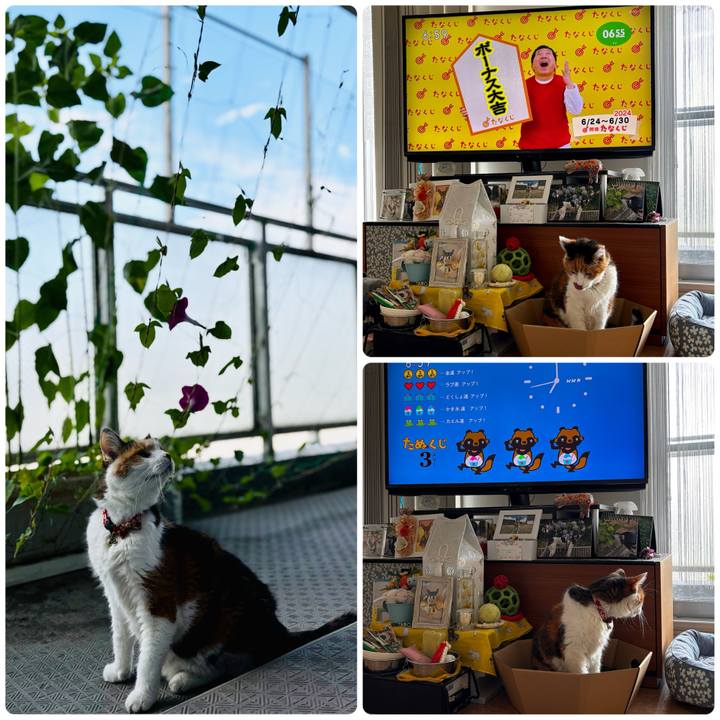 F43b8357 bd66 41fa a6a6 764bbaf9111b 1719183449978