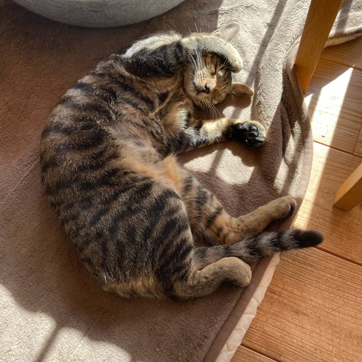 F43c2642 a02d 4ad2 92ef d908570b70dd 1675049090237