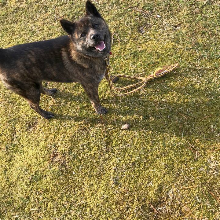 F43c28a8 af23 49de ad43 eae5659111d2 1521188945167