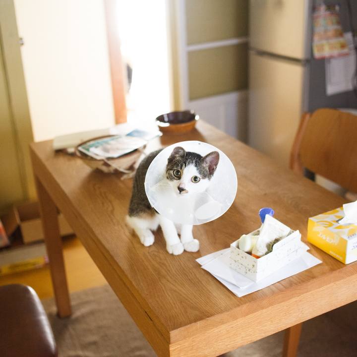 F43c5ec5 c0f1 4f67 8900 7db614a17786 1592531052995