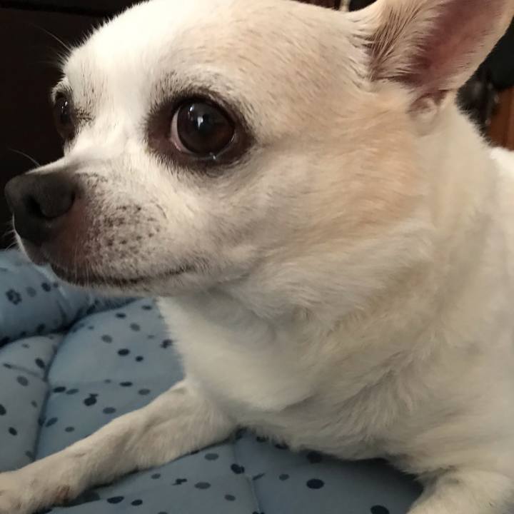 F43ce0e6 a92d 4054 b80e 91801487e4d5 1538743296028