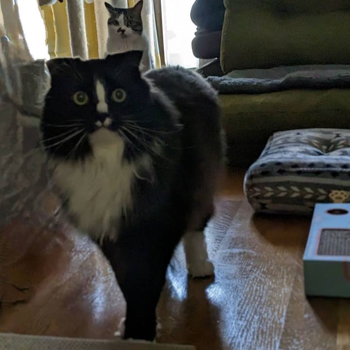 F43d012c 65d4 441a ac43 cb84386c4507 1683248793117