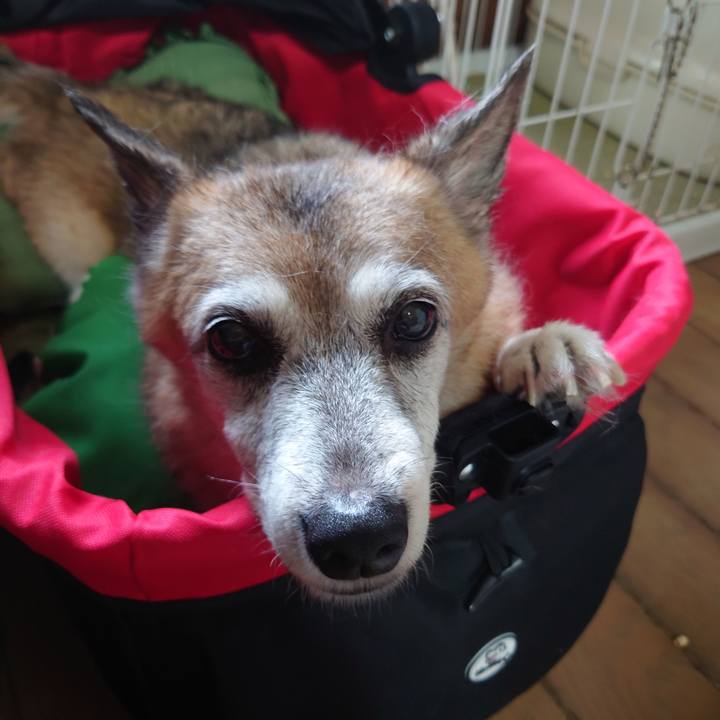 F43d08a9 2ac3 4550 af88 4e7ffad7ee12 1660457014322