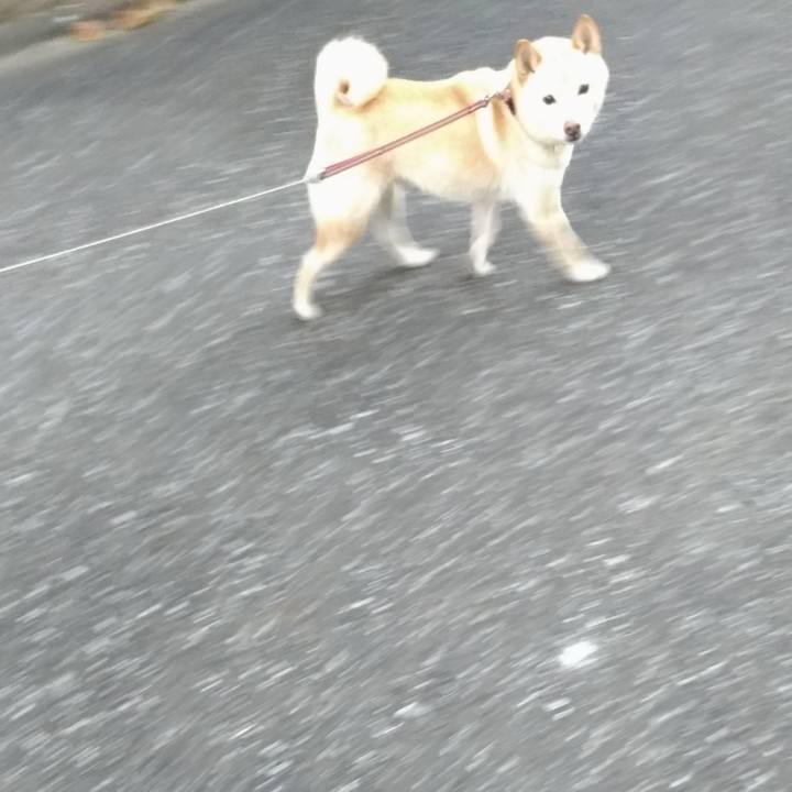 F43d105e a2f7 4c4b a722 6a00e927c33b 1608590466897