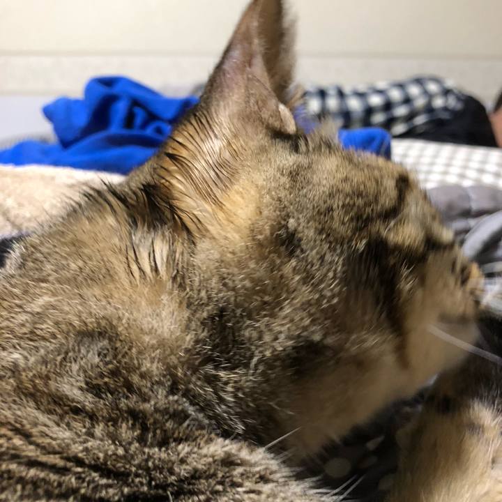 F43d371a 2f80 43b7 a59b c4e014f31b9a 1544992358045