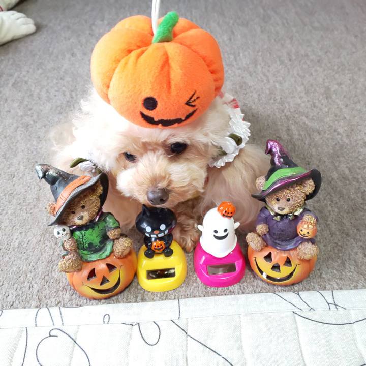 F43d5792 b4ea 4c89 a4da 0998a3fa6110 1572520582783