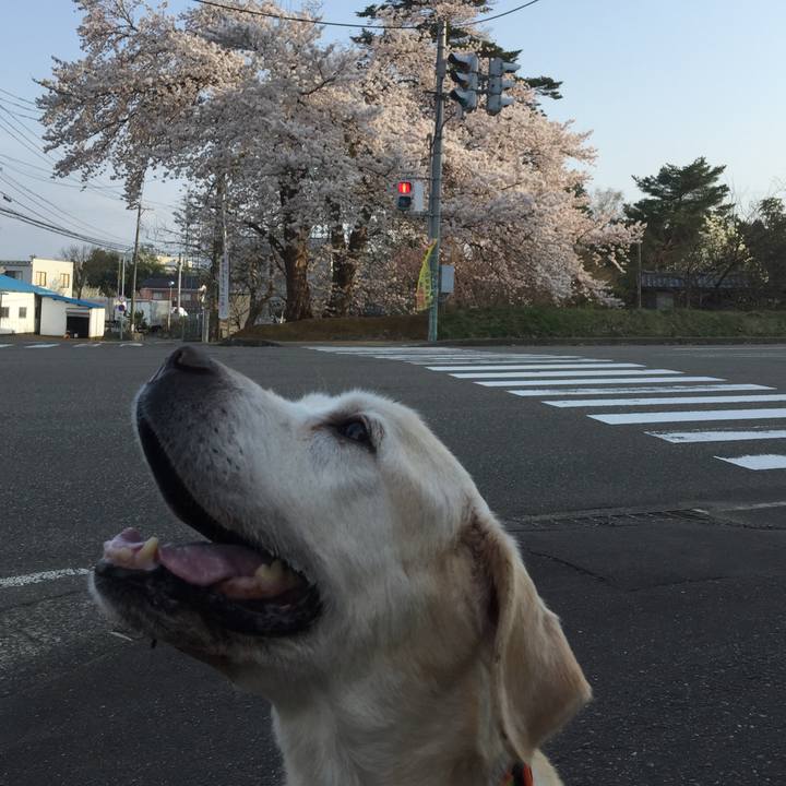 F43db330 2a2d 4631 a520 d53b28d60668 1584683863131