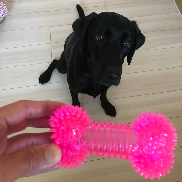 F43e12ee 0cf8 43be 8f45 855c144e925d 1524972447694