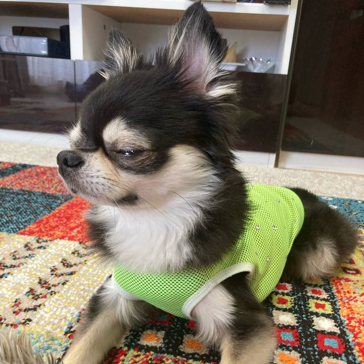 F43e3319 8ee0 4723 9862 8407c329a773 1692028571857