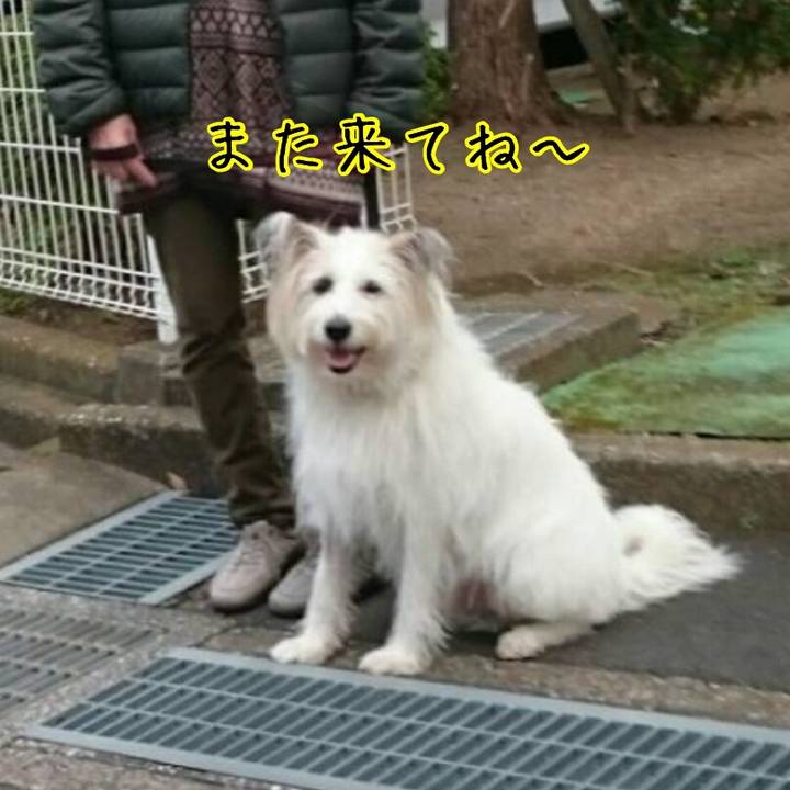 F43e4f3d 0856 4ca3 aea7 de88b0feea8a 1543293782463