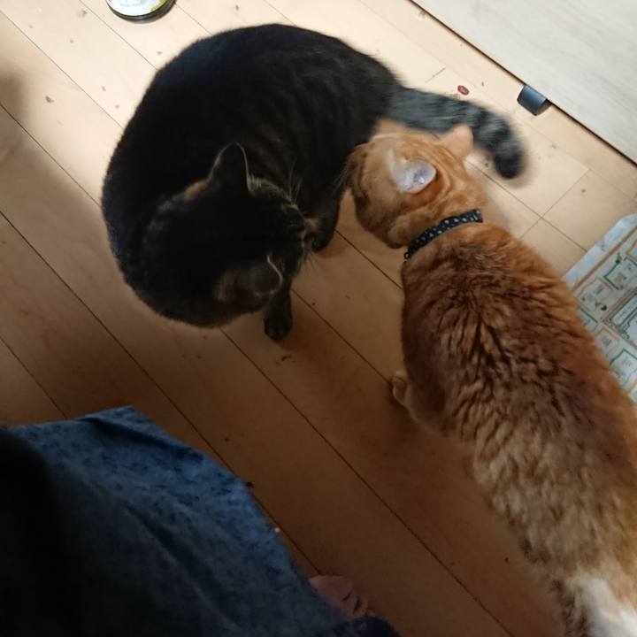 F43ebed9 98d4 46bc b530 ccd8d9aa4357 1654031456427