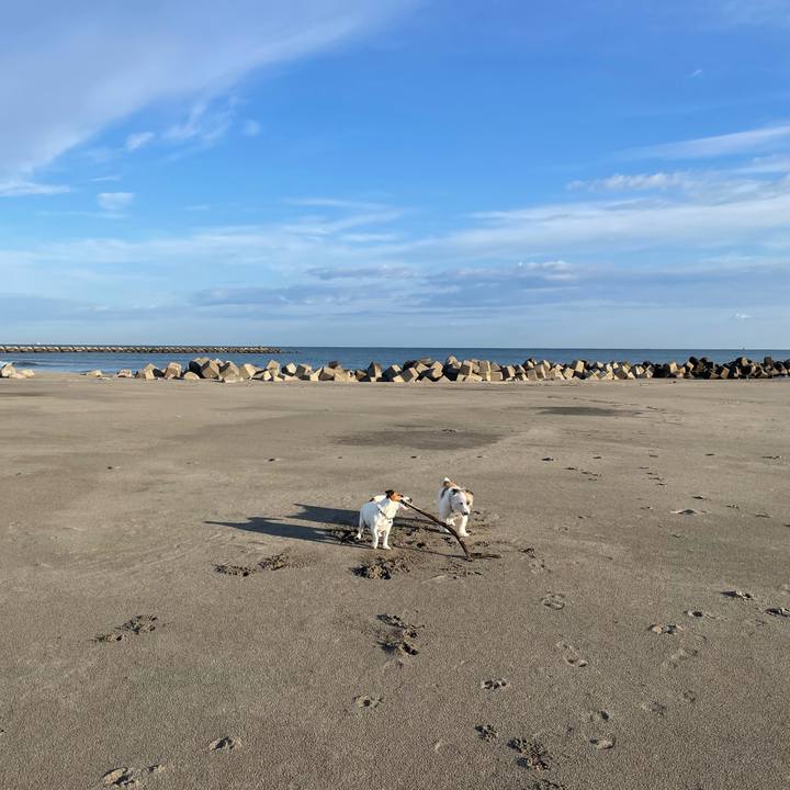 F43f02b9 ecfc 48ee b21a cbaf5b129eb2 1698106910310