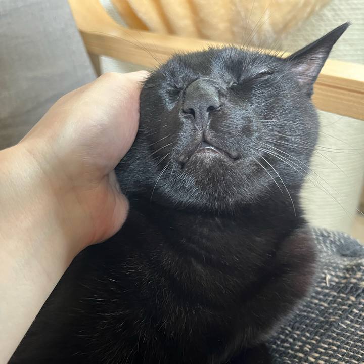 F43f3e48 f2b1 4bd0 ae41 f2b18718ce30 1691897828420