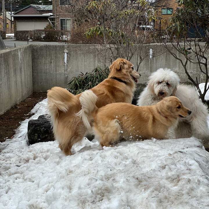 F43f4f2e 7f31 4707 b9e0 5fbaa88d71b7 1743153800603