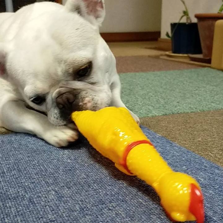 F43f6292 483a 4c64 b46c 0cee93cd069b 1663974735450