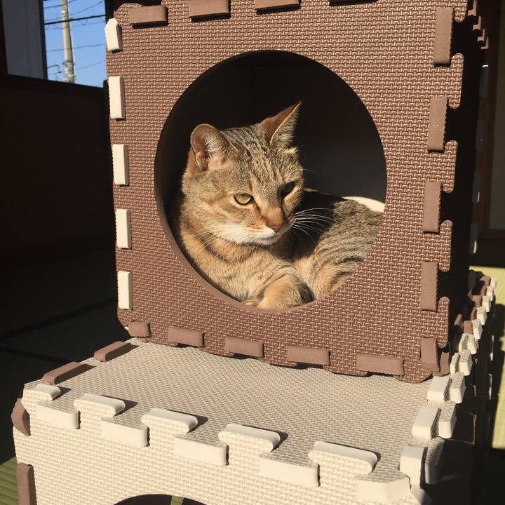 F43f9432 4f0d 48af 90da b8f3e41be085 1519040319487