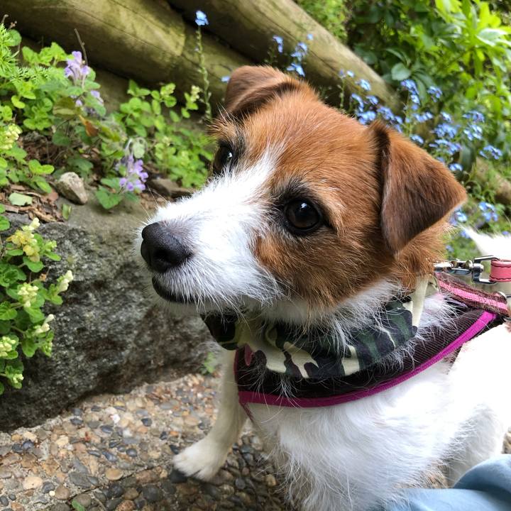 F43fcc31 2d85 412b b635 ba3ca342f51c 1587908892647