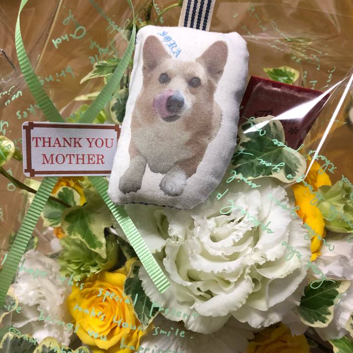 F43fcf41 31ed 4e4c 92e1 d8fbe28b1b9d 1557755120343