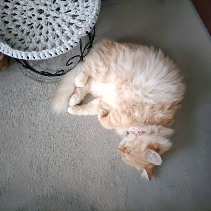 F4400408 d32f 488f 8010 f1f109dc78b6 1670310462536