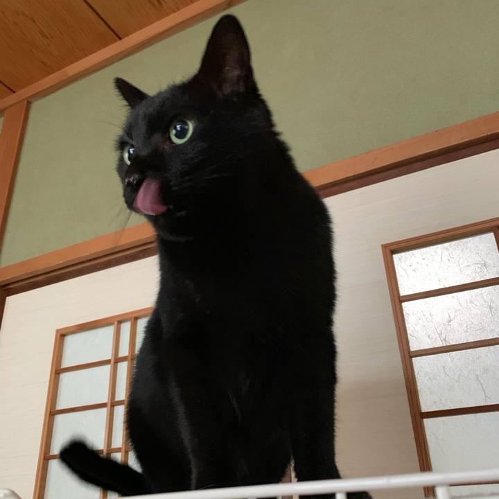 F4400c46 e2ab 40f8 b8d3 233b243086ea 1546218700099