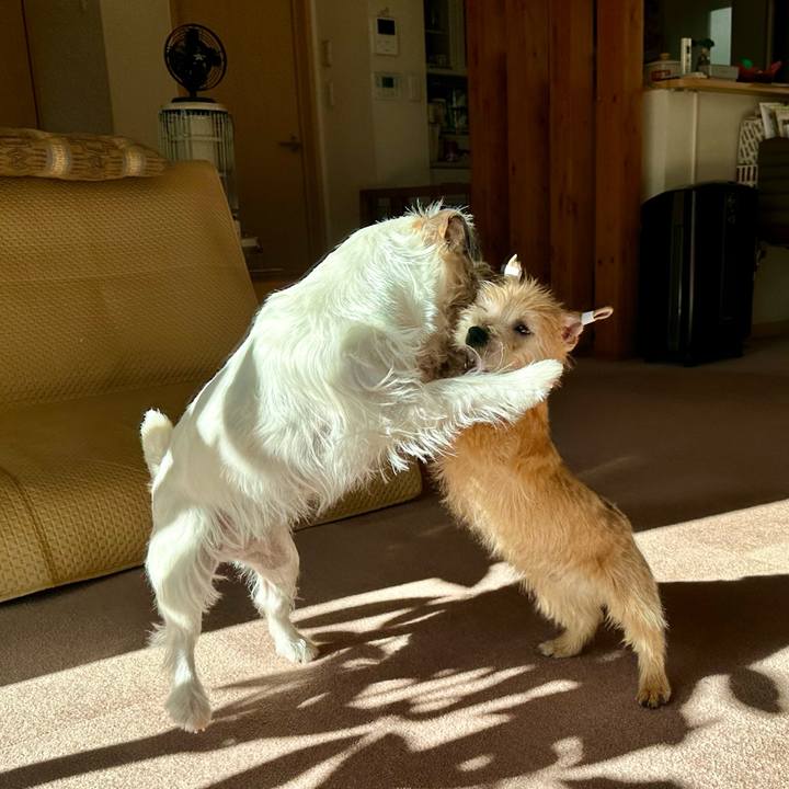 F44064a4 fcba 45fb 877c 26115b40d083 1705058396272