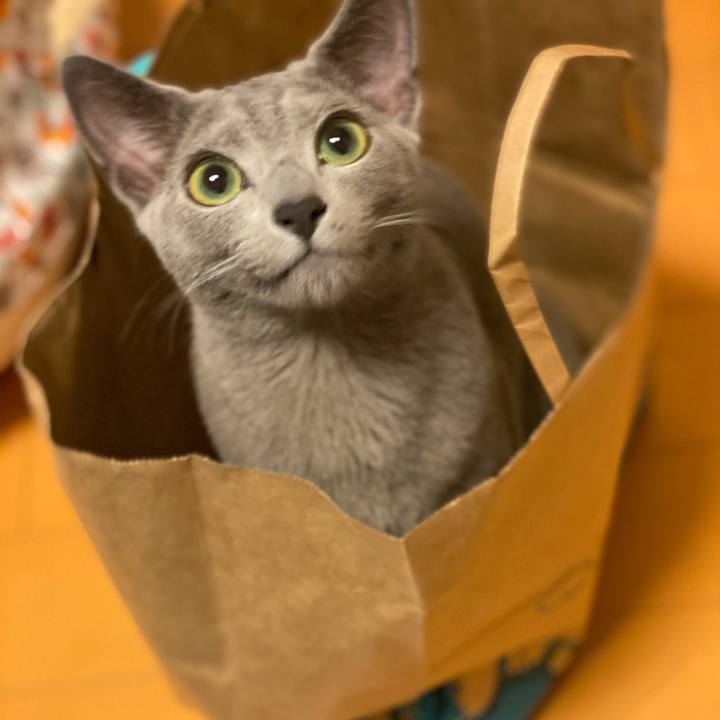 F4408ac6 195b 4a7b 9853 997fd8a2c0f6 1618457965190