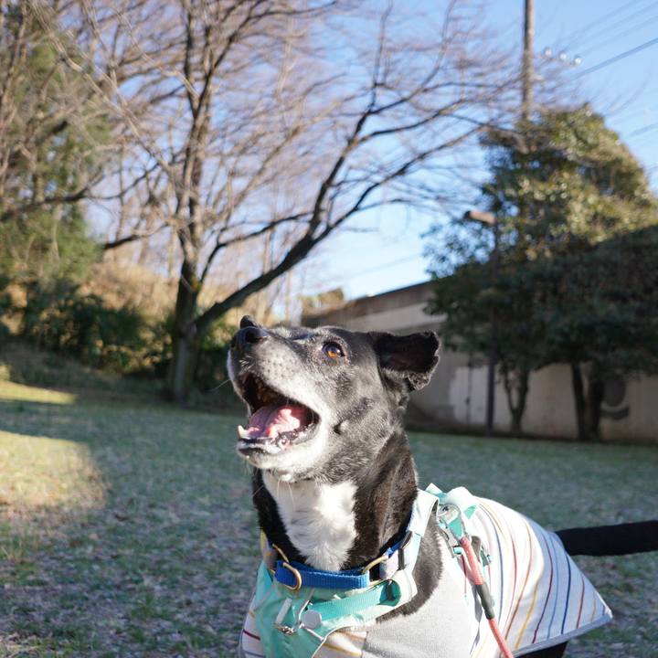 F440aec2 2047 4729 8281 57318576680e 1773190842648