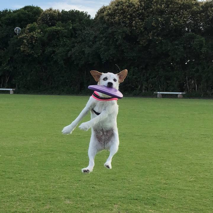 F440c1a4 679b 4b1c b695 4fb31bd217bd 1614954053848