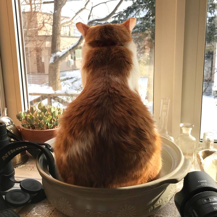 F440cdcd 5c75 465f 9ebe 612c31ad738e 1546468356027