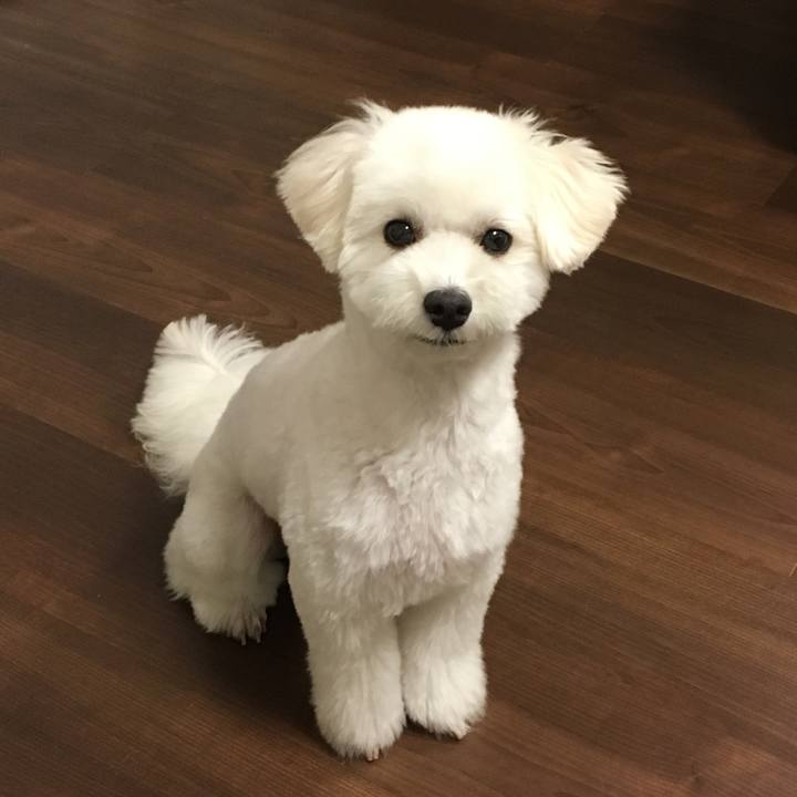 F44177b8 2308 47e0 acd5 05ffa7403b84 1530788610800