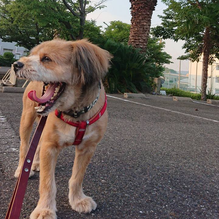 F441c02c 445a 47d3 a7bd 7c66c9d90751 1564742403208