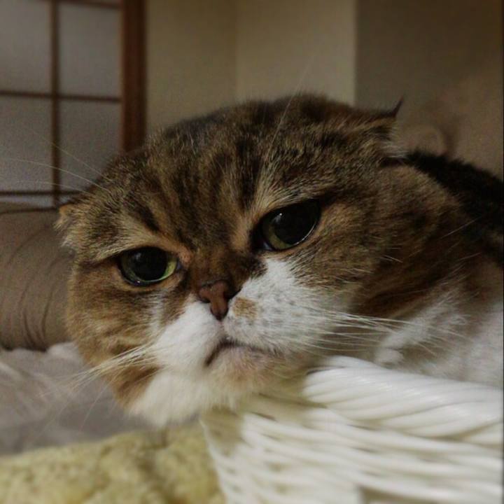 F441d92d b282 4adc 9618 1f9c81f1f8f3 1510571346957