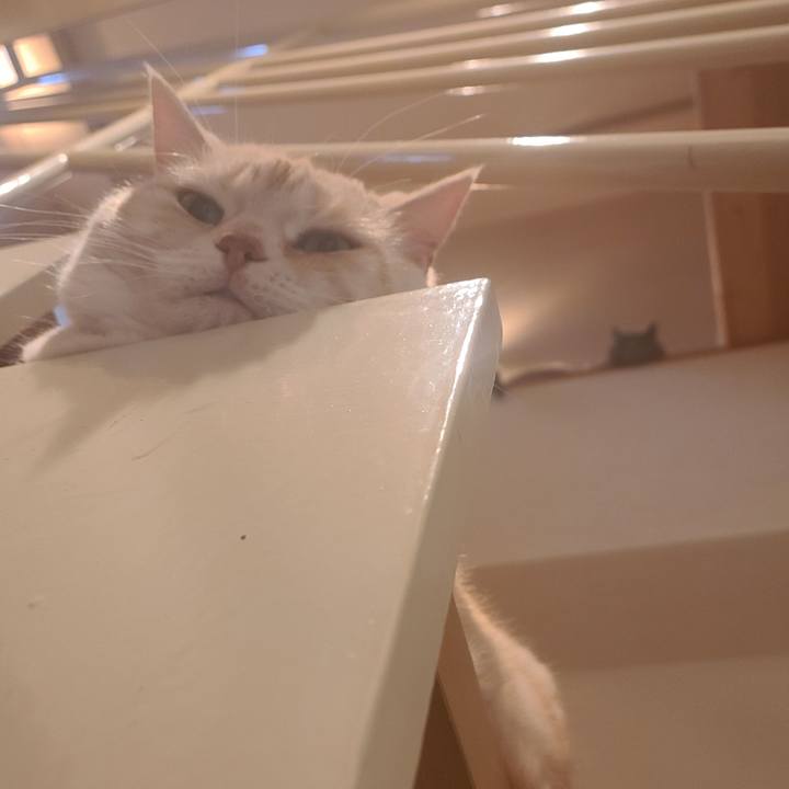 F441dacd 16d6 48c4 bef3 989215845597 1621240728387