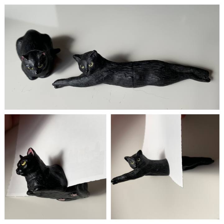 F441dc48 542a 4d0a 9268 c5da58ba4c85 1624746706605