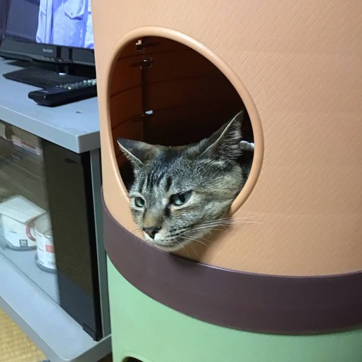 F441dfbd 360e 42f6 81fe f6e4dd122454 1687355076765