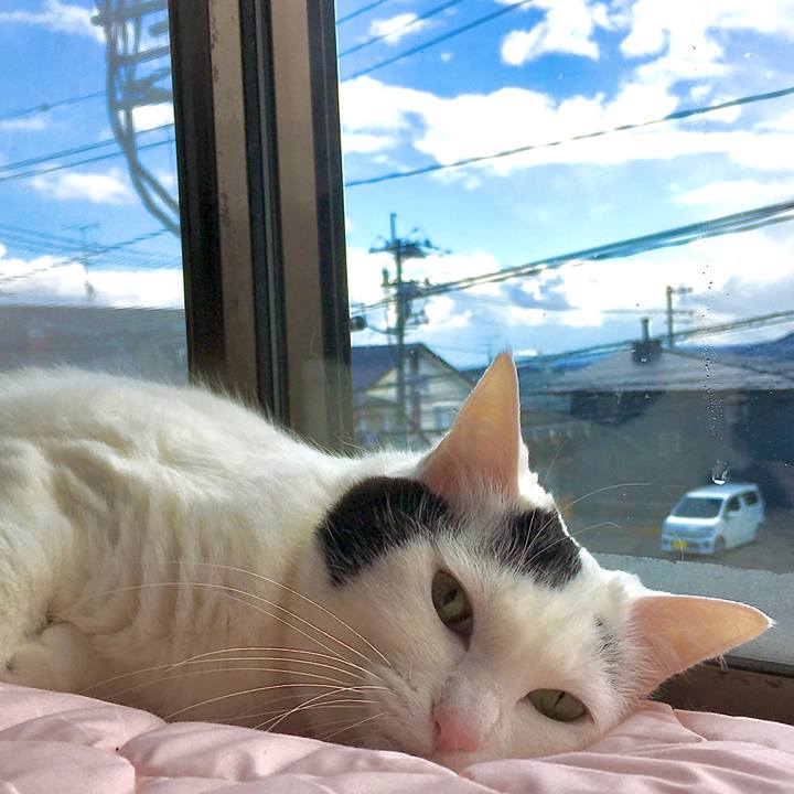 F441eb7b 6f2a 46f7 b785 c66cf97c77b7 1582786953947