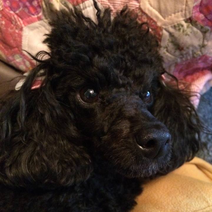 F441eb95 9858 43d1 83b4 e40b953c527c 1556242671475