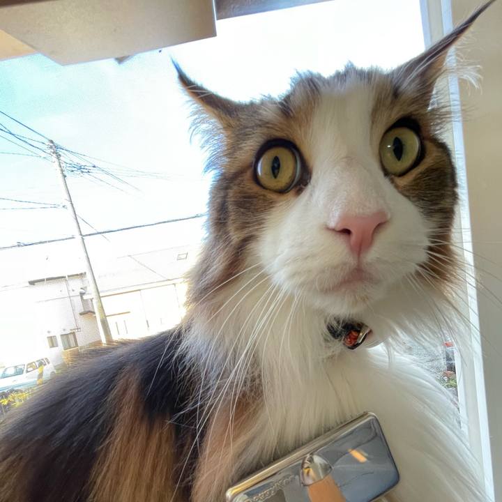 F4420658 8f1b 446d bfbf 7bfcf663b27c 1682199075919