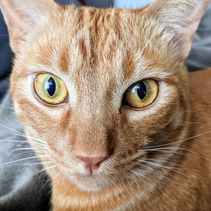 F4420afb ef2a 49d6 a49d 2c8c6c4bd1f2 1617492537020