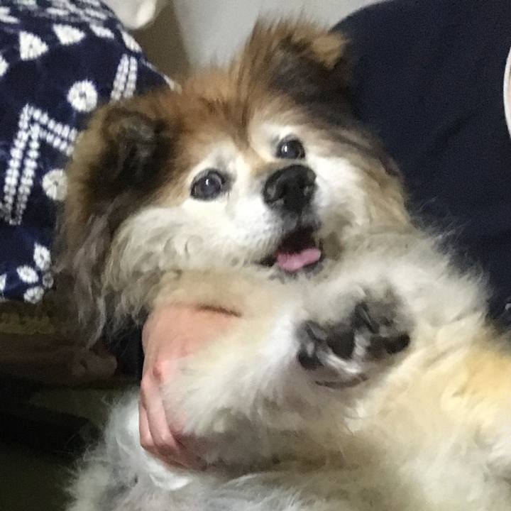 F4422eff e6f5 4c32 92e9 c890455c8cec 1573735556662