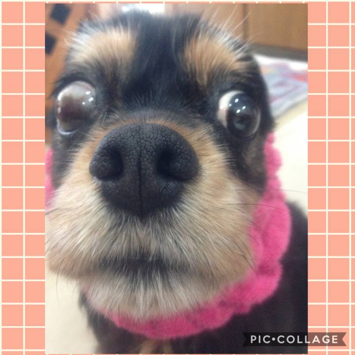 F4425286 a6cd 4d9a 8712 ce74d470f46a 1555418456874