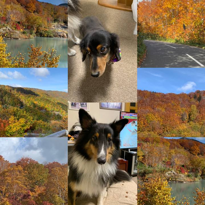 F4426131 8188 4431 a83f 2f2a08061fbf 1571701086148