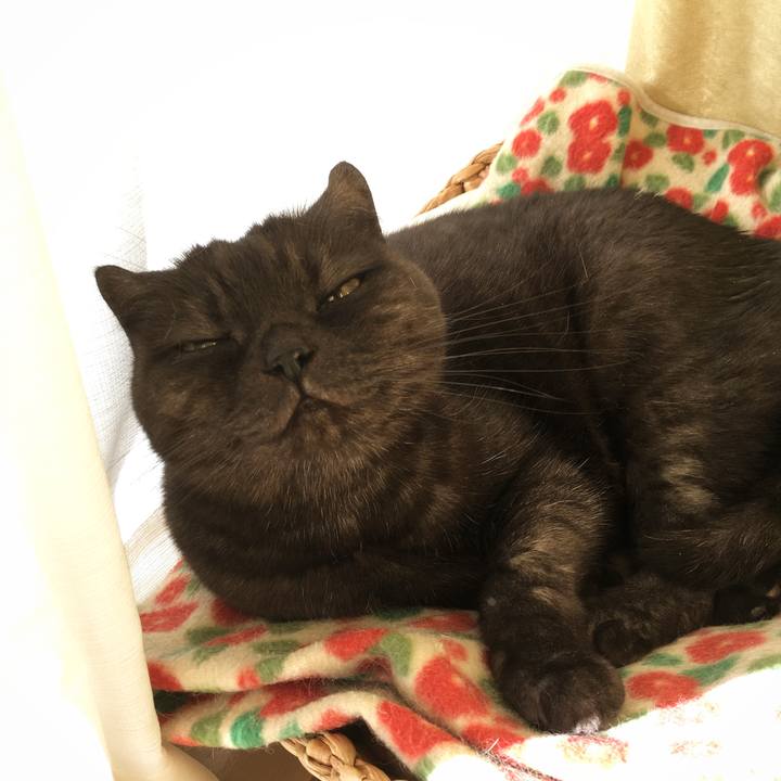 F4426371 71c8 4019 a1b5 bde0caaa0c35 1573019446324